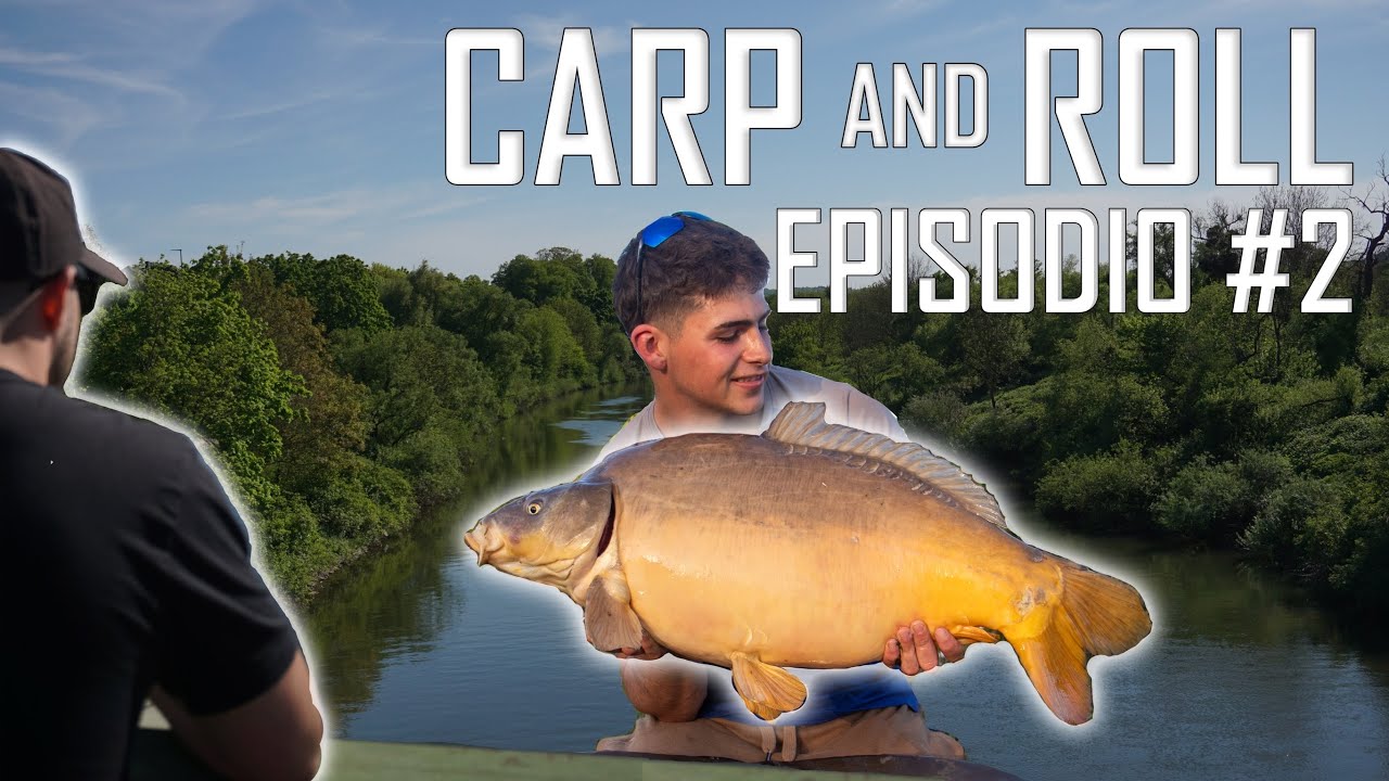 CARP and roll - Episodio #2: Carp fishing en el RÍO y STALKING // Young Carp ft. DVS fishing