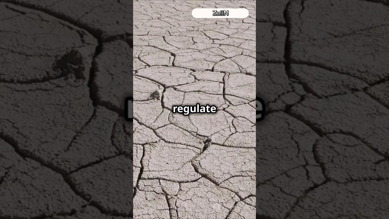 What If Clouds Disappeared? 🌍☁️