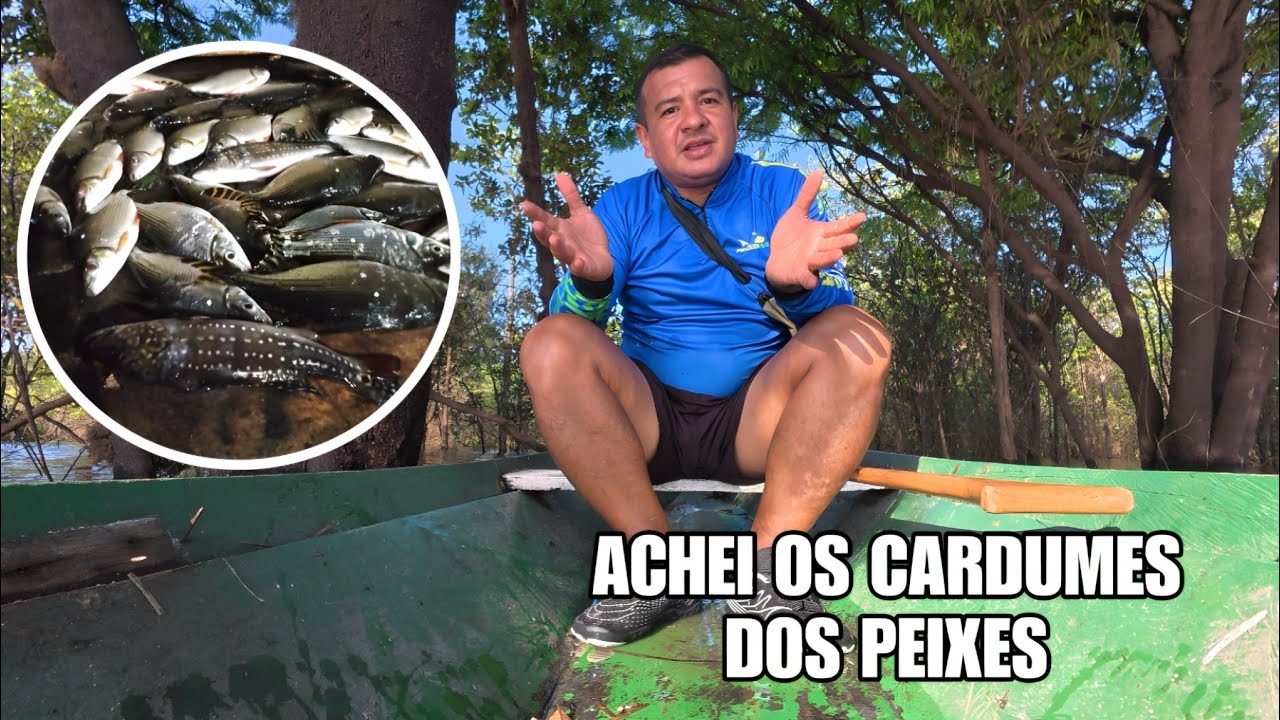 Achei os cardumes ... Dia  de Pescaria Sozinho e Comida Caseira com TATIANA SOUZA e STAFANY SOUZA 