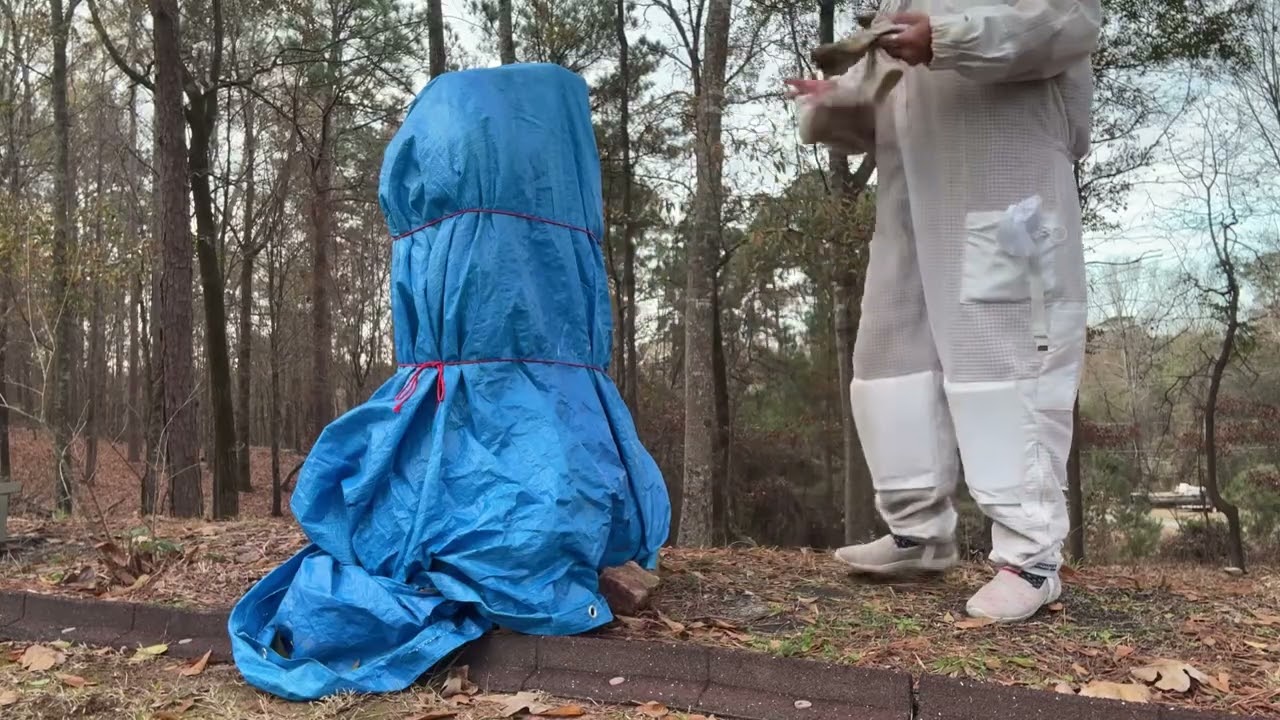 AU Brood Monitoring Inspection - Beekeeping