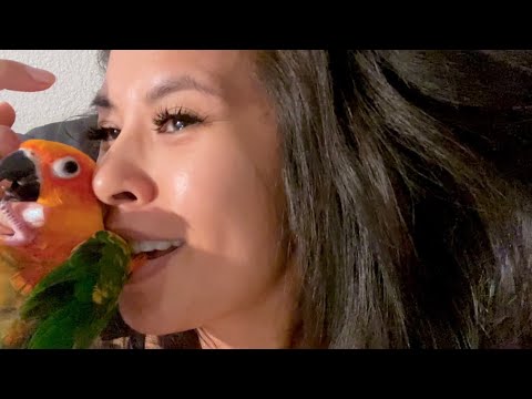 11/1/2021 “Good Morning!” Jhoanna Trias: Feeling better, cuddles