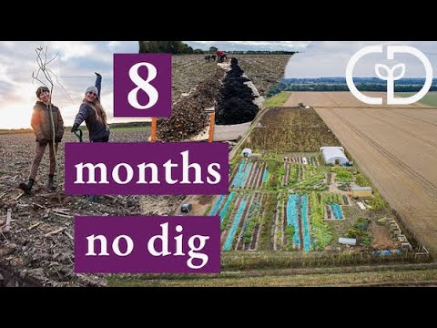 Vídeo: Visitando a Apple Hill Farms no outono