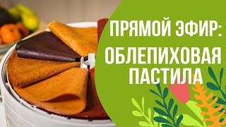 видео: Обалденный рецепт приготовления пастилы из облепихи! картинка: Обалденный рецепт приготовления пастилы из облепихи!
