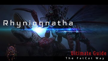 Rhyniognatha - Ultimate Guide - Get the Facts!