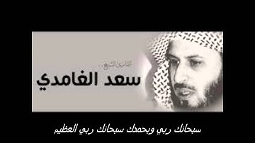 سورة النمل بصوت الشيخ سعد الغامدي