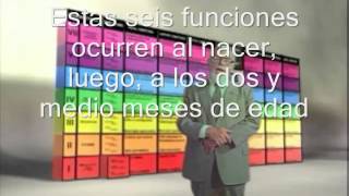 Glenn Doman Corto En Desarrollo Del Cerebro Subulado