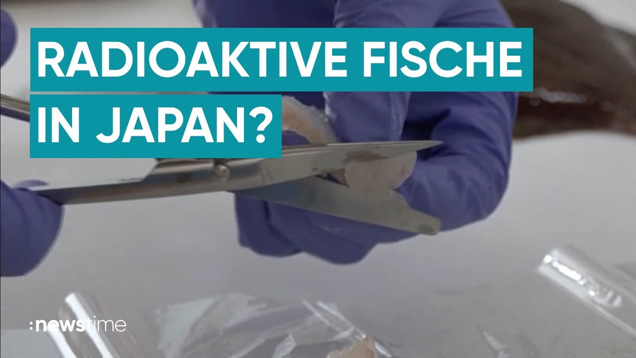 Alarm in Japan Verseucht Fukushima die Fische? YouTube