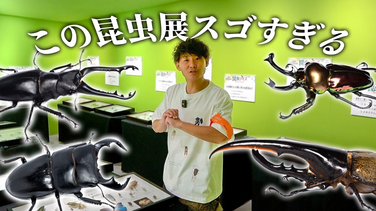 夏休み限定!世界の昆虫たちが集まる昆虫展がスゴすぎる!