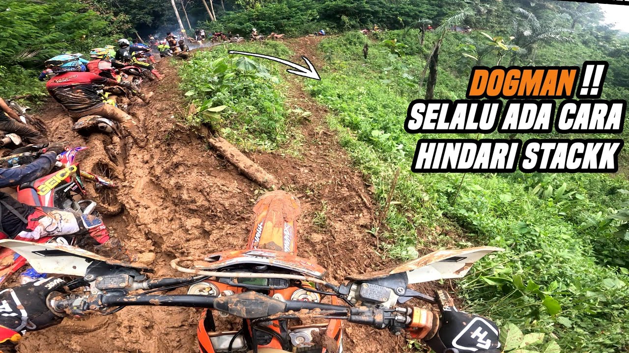 Bludak peserta HINDARI STACKK ,DOGMAN ciamis