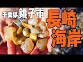 無限にメノウが見つかる海『千葉県銚子市･長崎海水浴場』シーグラスもいっぱい‼