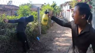 Trailer 2