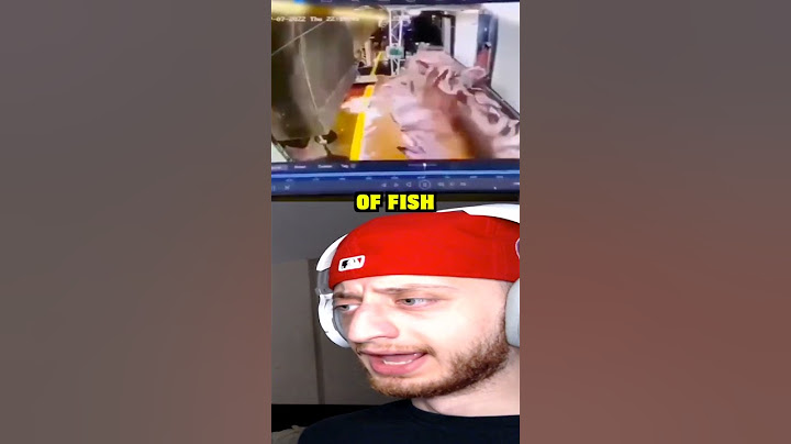 That's A Lot Of Fish #shorts #short #memes #meme