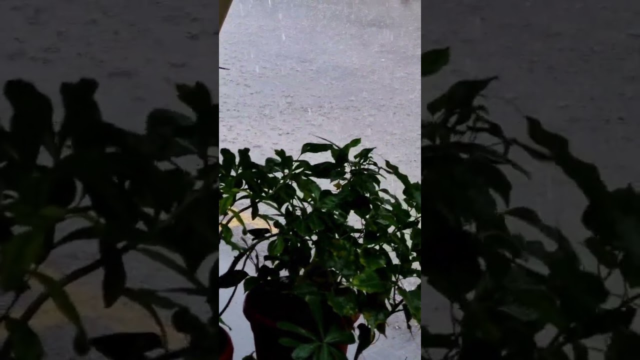 Heavy Rain Dubai | Shorts