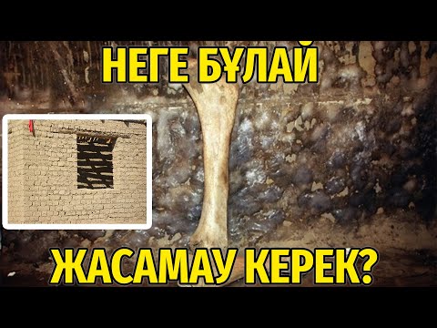 Бейне: Барлық бактерияларда жілік бар ма?