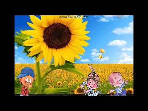 ნინო  ტორაძე .,,რას გვასწავლის მზესუმზირას თესლი\"