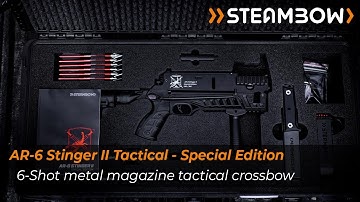 Introducing the exclusive AR-6 Stinger II Tactical, Special Edition