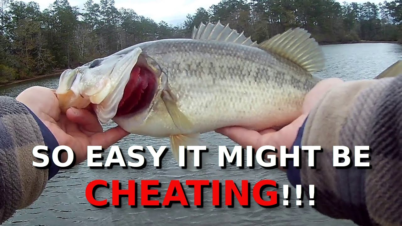 Pros HATE THIS But It’s The BEST Trick For Winter Bass Fishing!!!