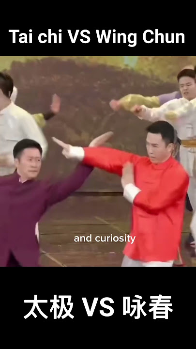 TAI CHI VS WING CHUN