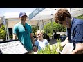 Father’s Day in the Garden returns this weekend