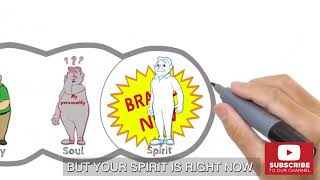 Spirit Soul and Body - Part 2 (Andrew Wommack)