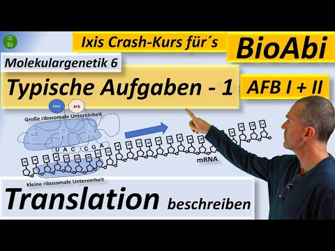 Proteinbiosynthese einfach erklärt