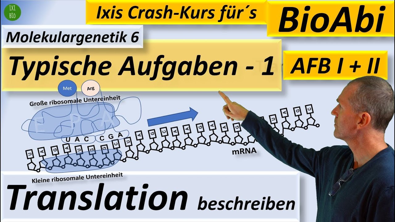Translation 1 mit Abbildungen beschreiben - Abiturniveau - AFB I - Typische Aufgabenstellungen Bio