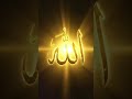 Allah sunan Allah bhai log like ♥️👍💯