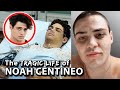 The Dark Truth About Noah Centineo
