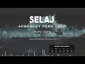 FREE DOWNLOAD Afrobeat Percussion Loop No Drums 100% Royalty Free | Shakara Sample | " SELAJ "