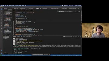 NEAR from Scratch: AssemblyScript Project Setup