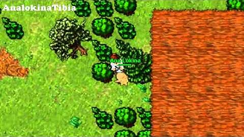 Tibia - The Old Widow