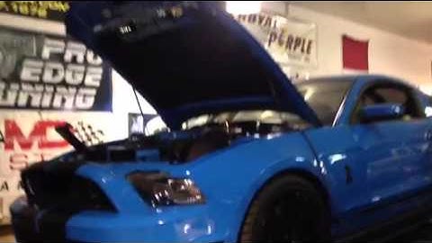 TVS Shelby GT500 Pro Edge Tuning