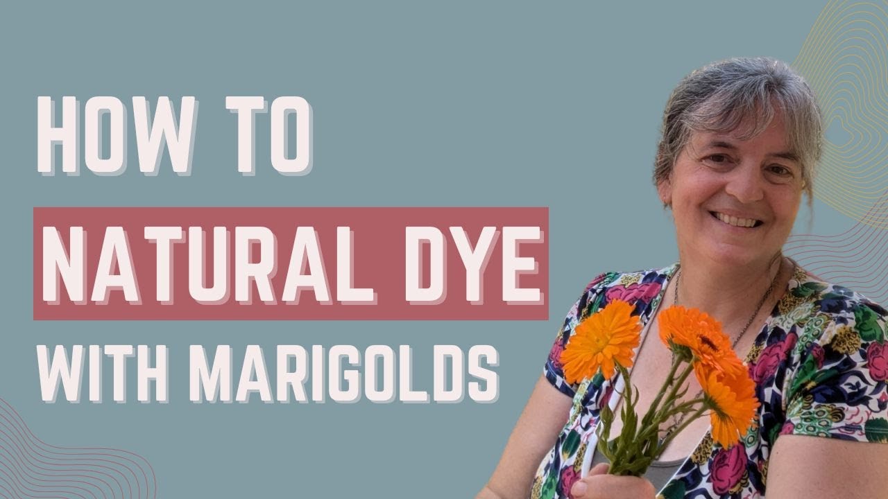 Natural dyeing with COTTAGE GARDEN  FLOWERS | Marigolds