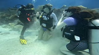 Two Female Scuba Divers Diving With Guide
