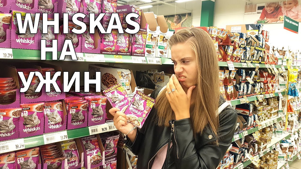 Челлендж 24 В Магазине