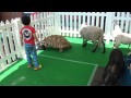 ふれあい動物らんど