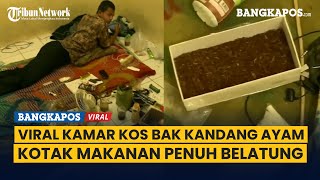 Viral Penampakan Kamar Kos Bak Kandang Ayam, Makanan sampai Penuh Belatung