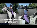 RIDING MY FRIENDS GRAND PRIX STALLION! || Erin Williams