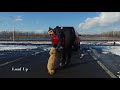New York Dog Trainer: Mini Goldendoodle, Tobin, with Amazing Obedience! New York Dog Trainer: Mini Goldendoodle, Tobin, with Amazing Obedience!