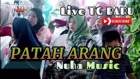 TANJUNG BARU || NUHA MUSIC || PATAH ARANG ||  Shapa WG pro