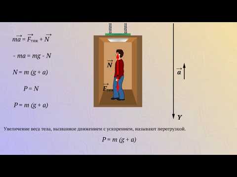 Вес тела (ускорение направлено вверх), перегрузка