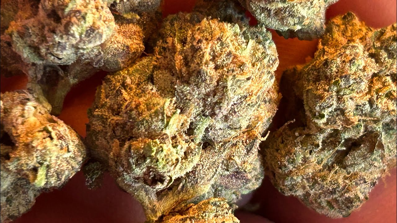 Smoke and Ride | Cannabis Review | FloraCal  Farms | Purple Plague |