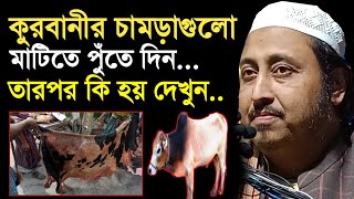 কুরবানীর চামড়াগুলো মাটিতে পূতে দিন তারপর কি হয় দেখুন..Qari Yasin Ali Saheb Jalsa