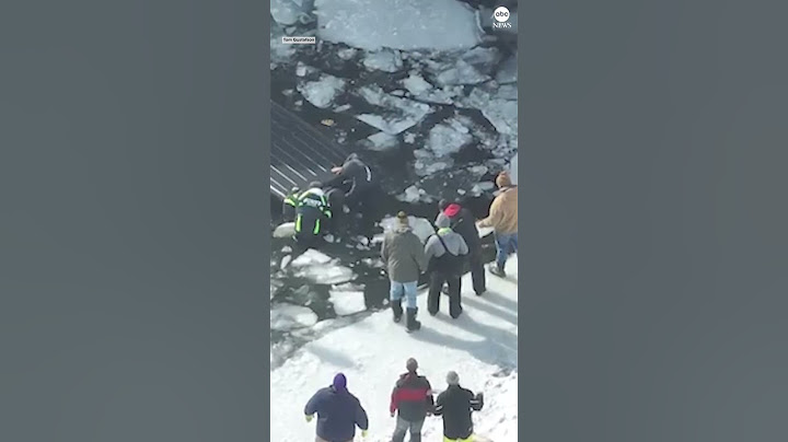 Man, dog rescued from icy waters