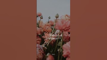 ‏‎لا تَدْرِي لَعَلَّ اللَّهَ يُحْدِثُ بَعْدَ ذَلِكَ أَمْرً | سورة الطلاق | شريف مصطفى