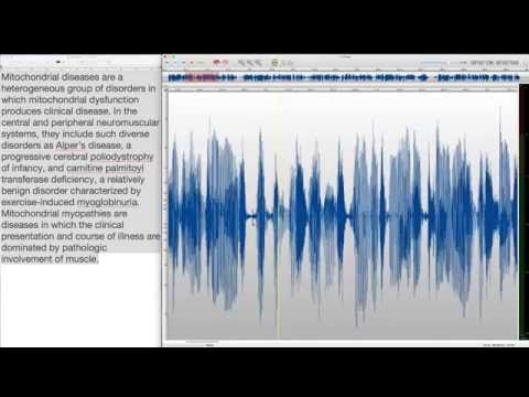 Spblat's VO Production Process
