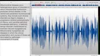 Spblat's VO Production Process