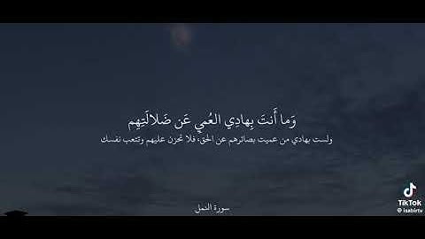 القارئ / احمد بن طالب / سوره النمل❤️