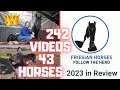 Friesian horses review 2023  wow what a year dreams came true thanks admins friesian horses