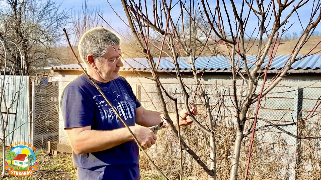 ХУТОРСКИЕ ЗАБОТЫ. ПЕРВЫЕ РАБОТЫ В САДУ И СНОВА РЕМОНТ НА ДВА ФРОНТА.